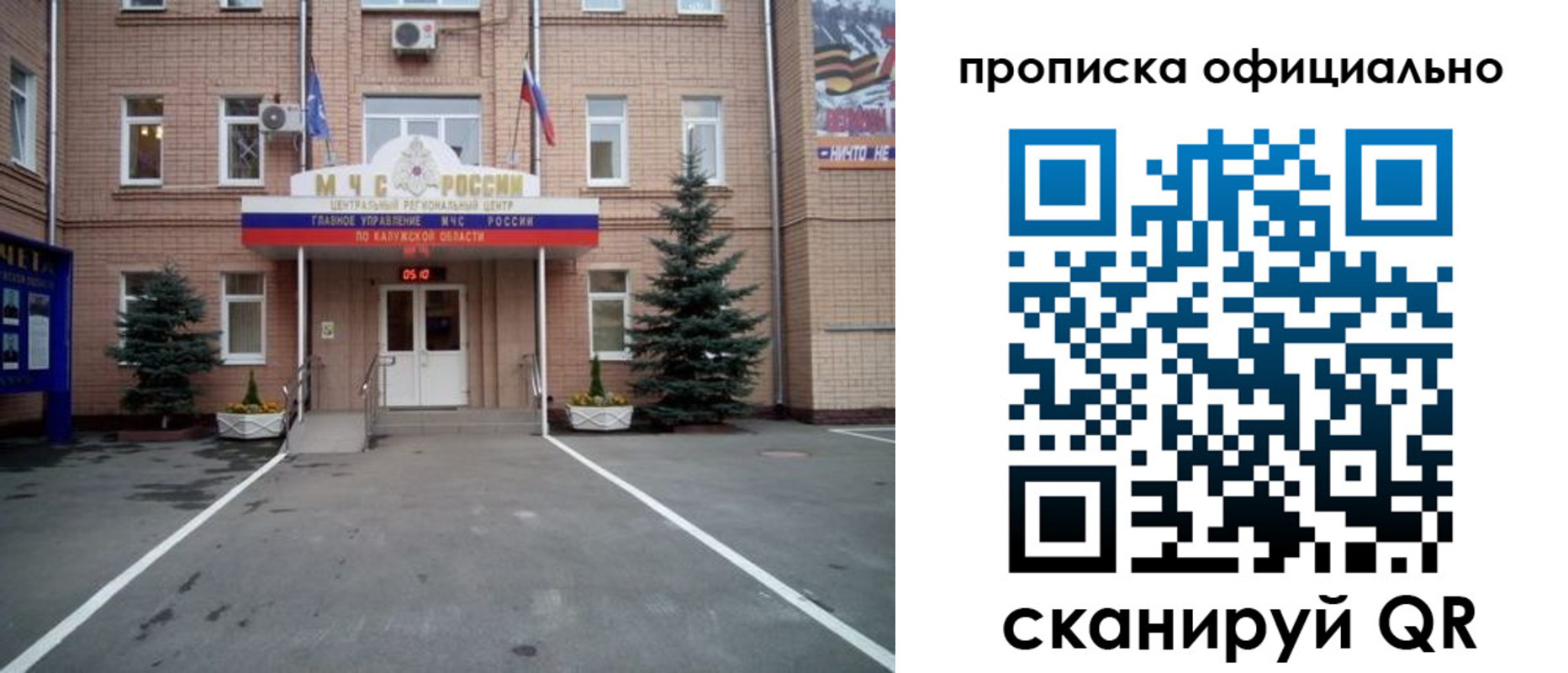 прописка для школы в Плавске